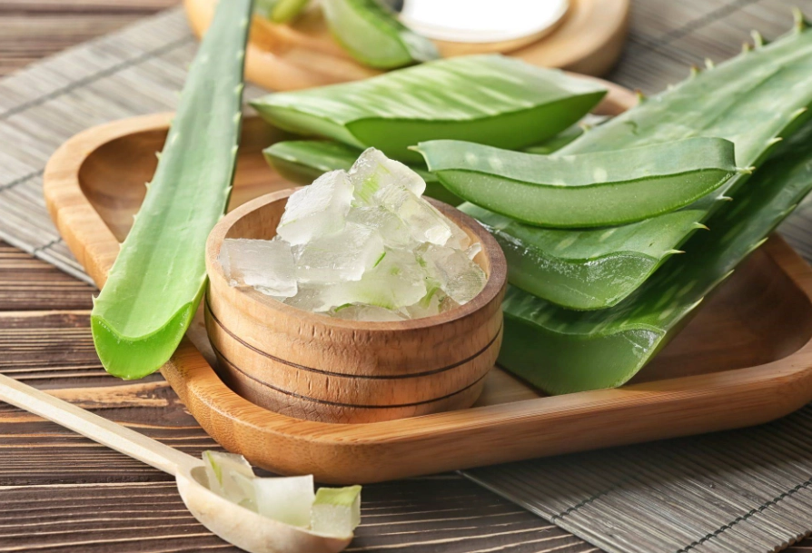 蘆薈澆水 蘆薈澆水